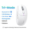 color: White