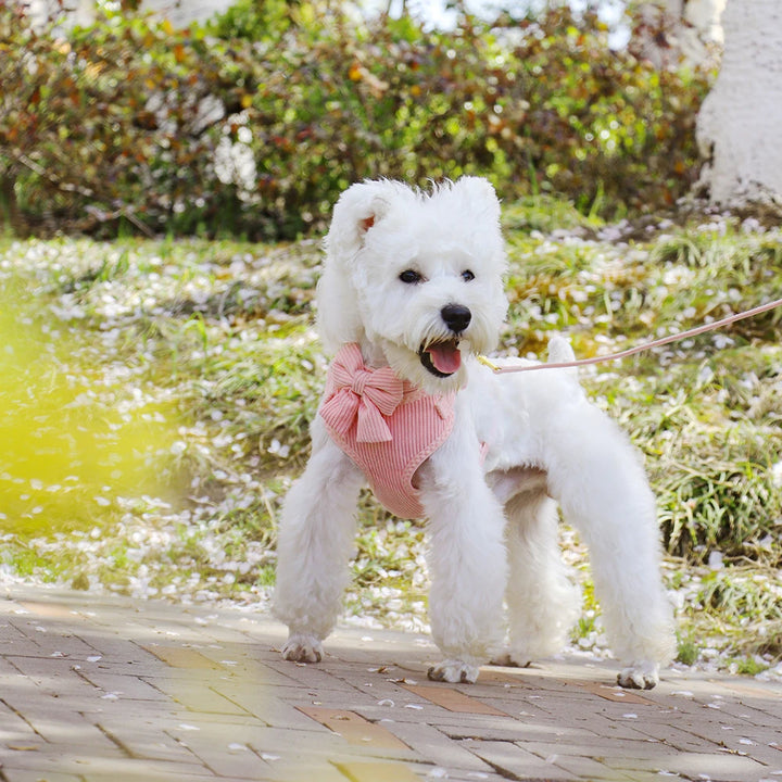 Adjustable Mesh Dog Collar Harness and Leash Set with Cute Bowknot