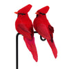 color: Red