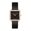 Color: An2519