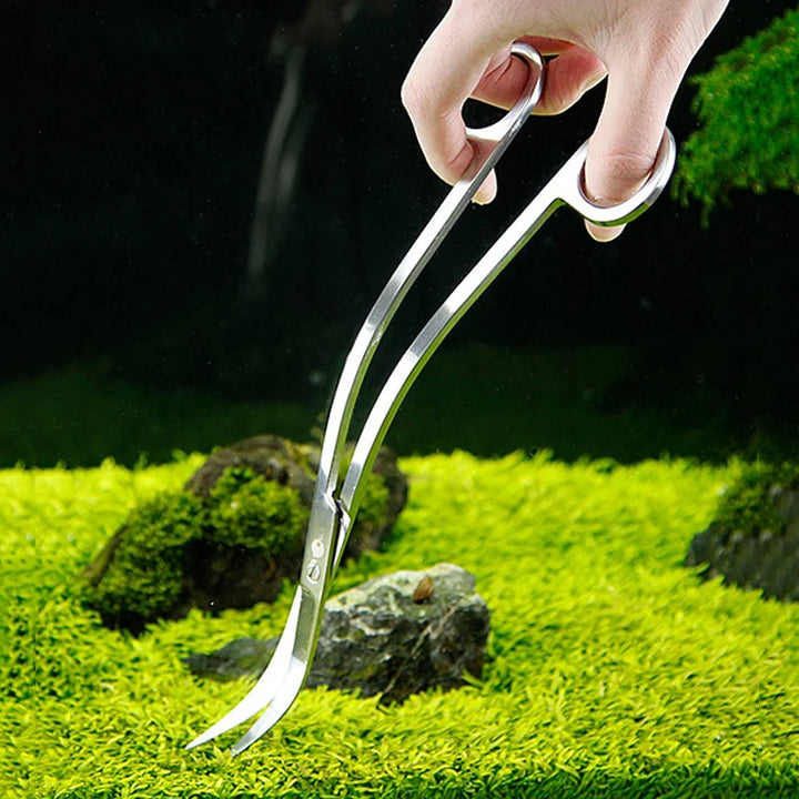 24cm Stainless Steel Curved Aquarium Scissors