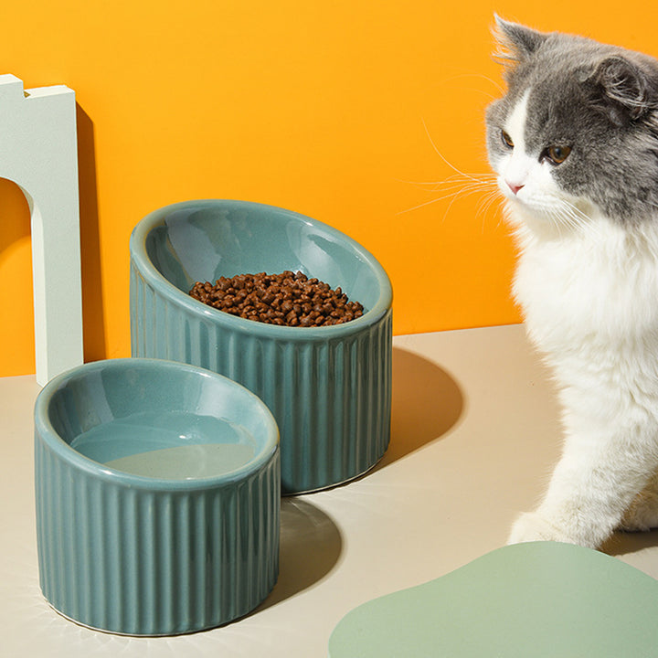 Elevated Ceramic Cat and Small Dog Water Bowl