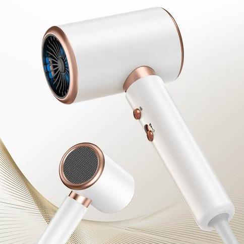 Ionic Hair Dryer with Concentrator Nozzle