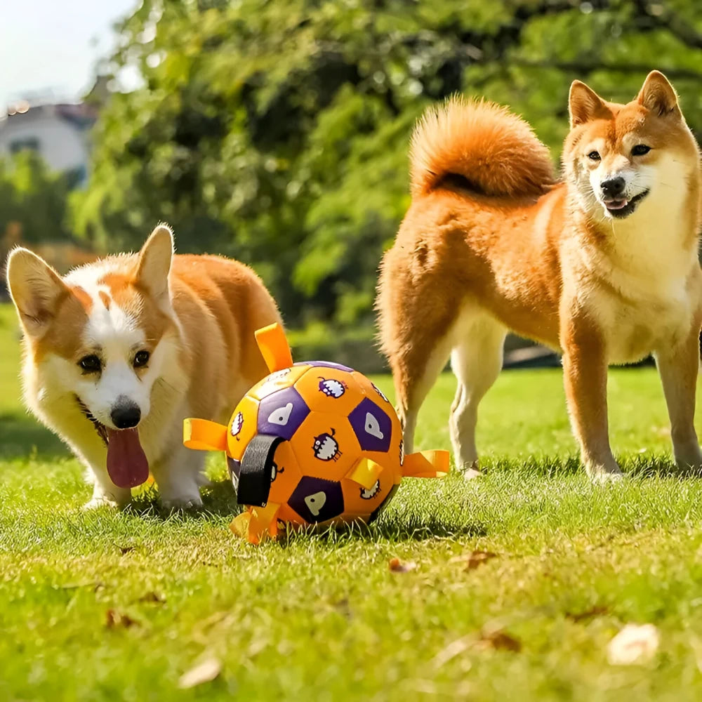 Interactive Football Dog Toy with Grab Tabs