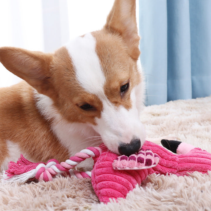 Plush Squeaky Animal Dog Toys