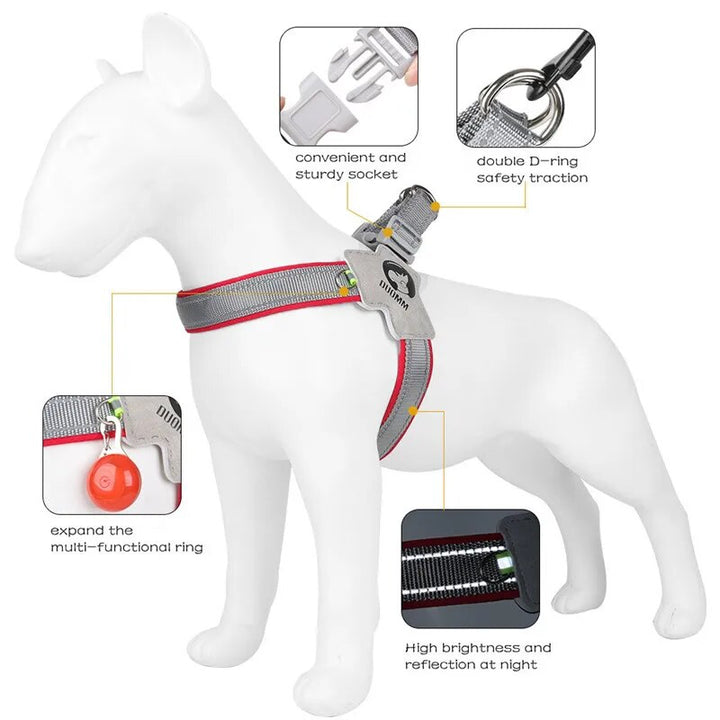Dog Harness: Reflective Mesh Vest for Safe and Stylish Walks