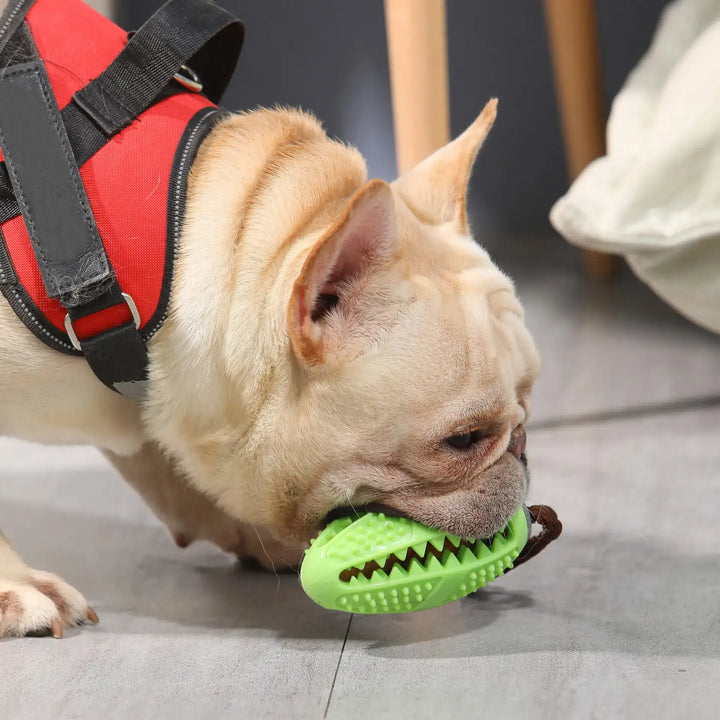 Rubber Chew Ball for Dogs