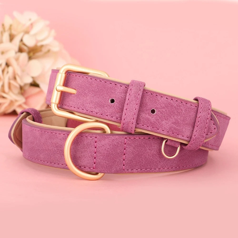 Soft Leather Padded Dog Collar Adjustable and Durable for Small and Medium Dogs