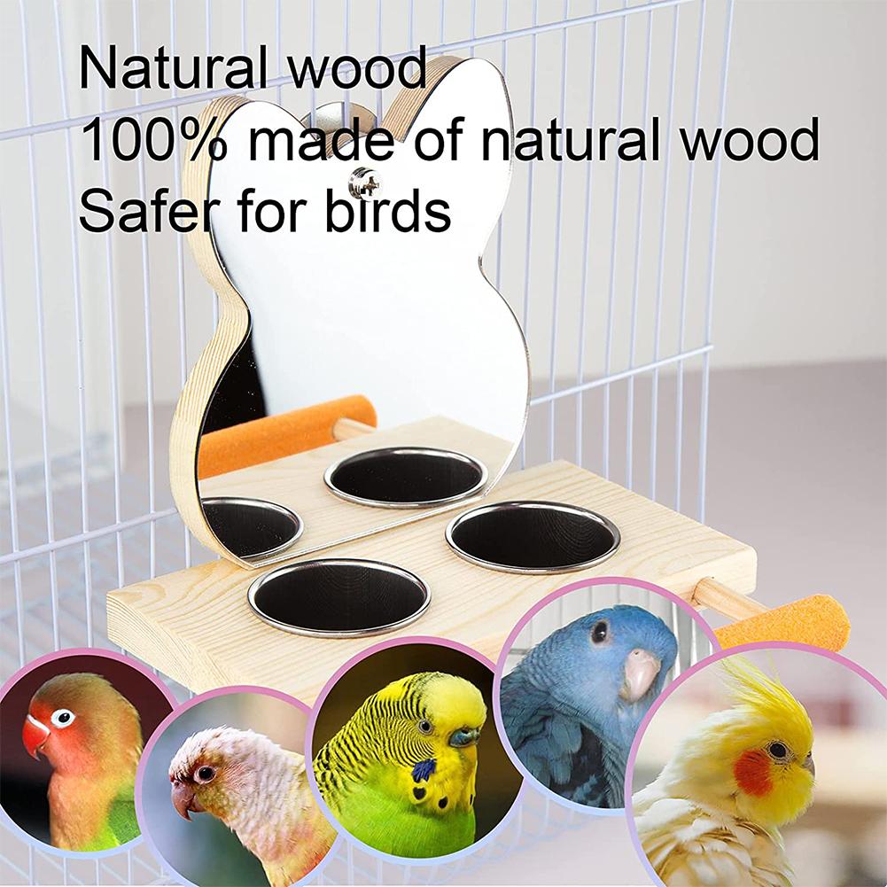 Interactive Parrot Mirror with Feeder Cups