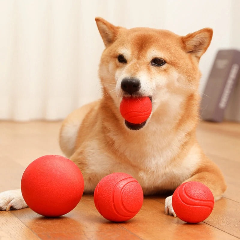 Rubber Bite-Resistant Dog Training Ball