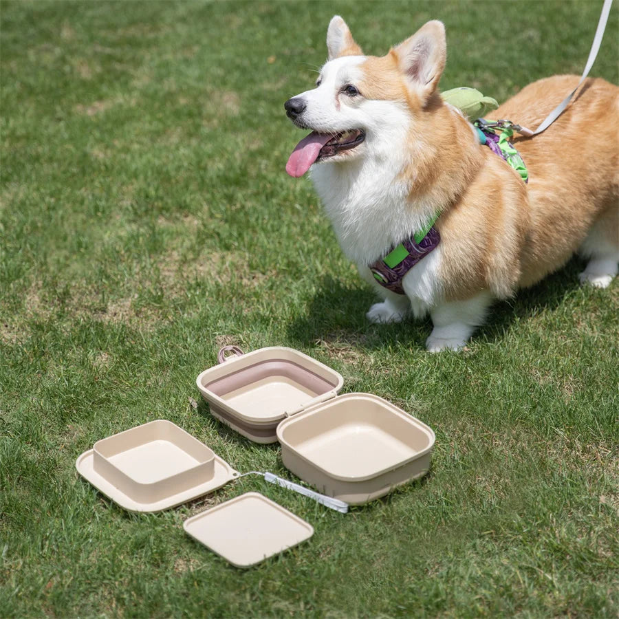 Portable Double Folding Pet Bowl