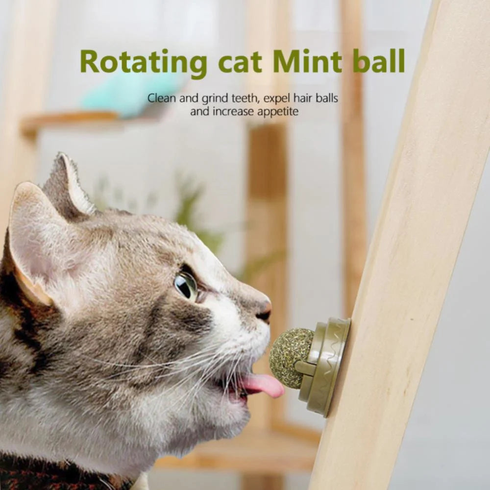 Catnip Toy Balls - Interactive Licking Snack with Molar Teeth Benefits for Cats