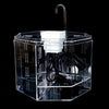 color: Transparent