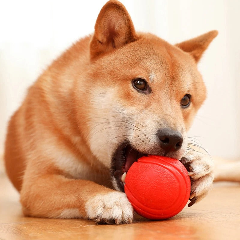 Bouncy Rubber Dog Training Ball