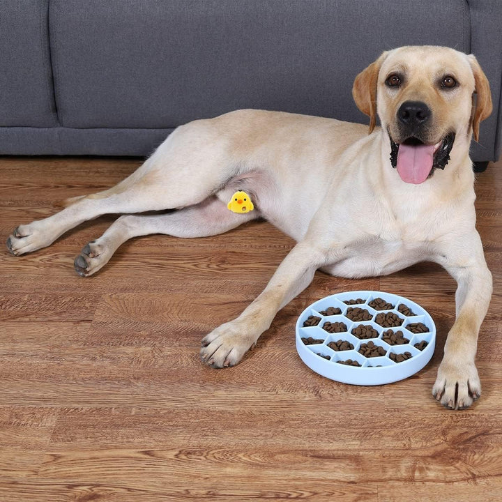 Slow Feeder Dog Bowl with Non-Skid Silicone Base and Suction Cup