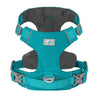 color: Blue