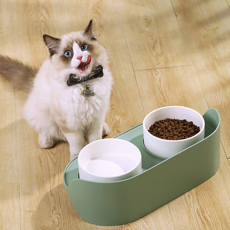 Elevated Double Ceramic Cat Bowls