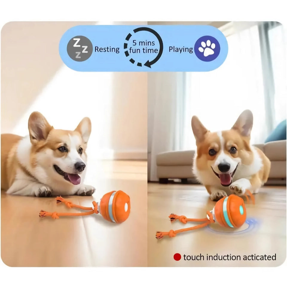 Interactive Motion-Activated Rolling Dog Ball for Puppies & Cats