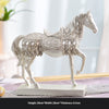 Color: Retro Silver Horse