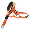 color: Orange