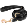 color: Black