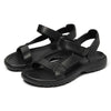 Color: Black