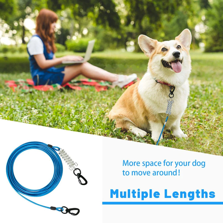 Heavy Duty Steel Dog Tie Out Cable with Durable Clips