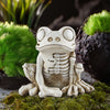 Color: Skull Frog
