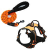 color: Orange