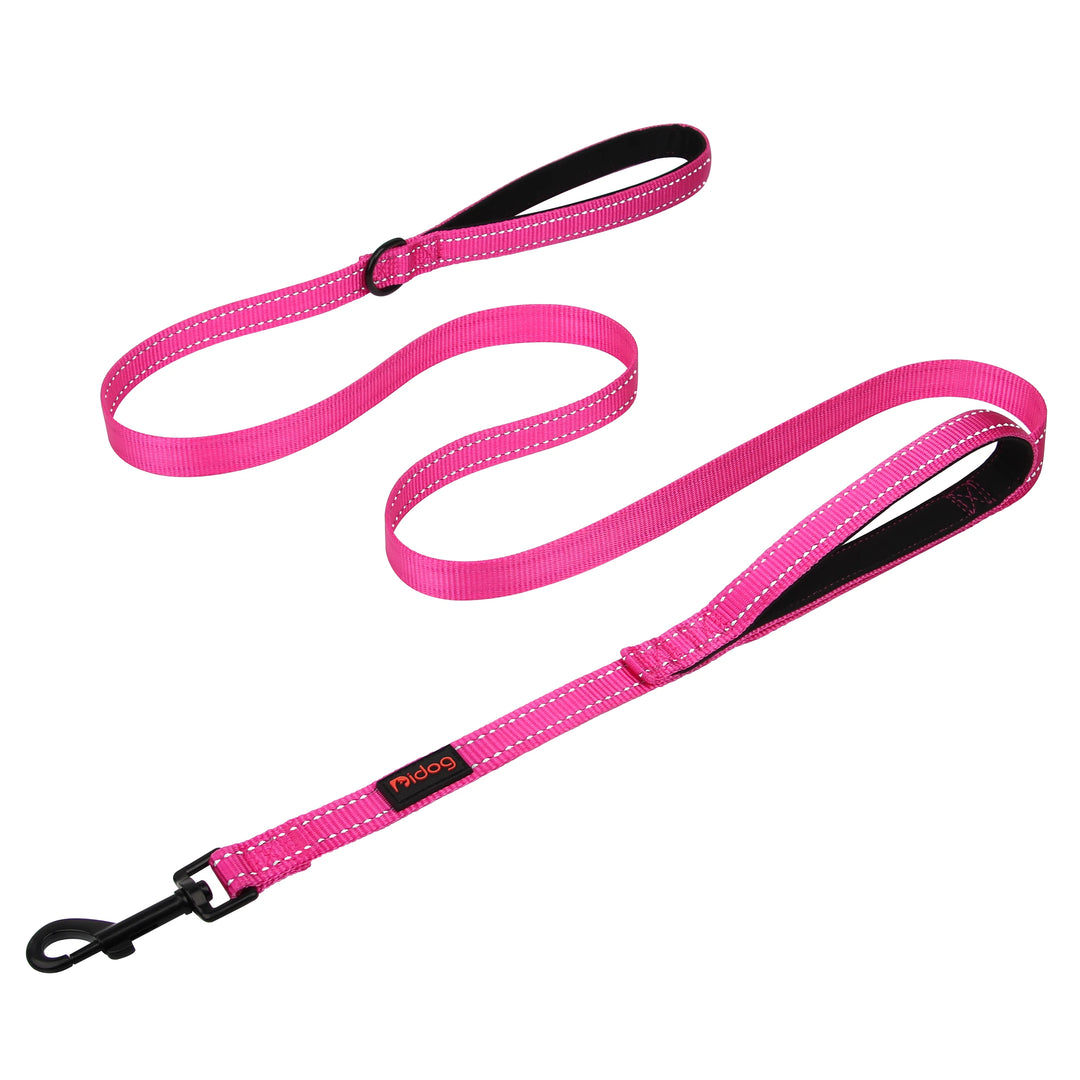 5ft Double Handle Nylon Dog Leash