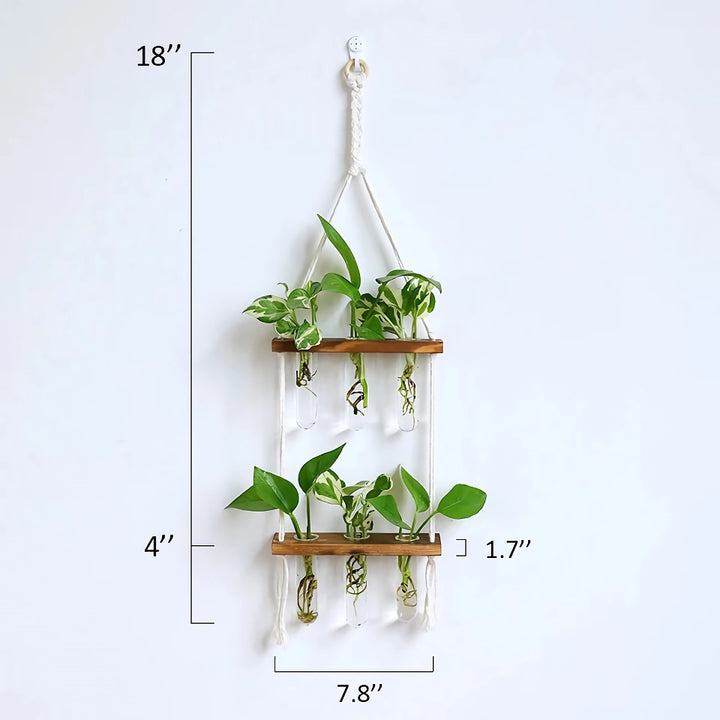 Elegant Wooden Hydroponic Wall Vase