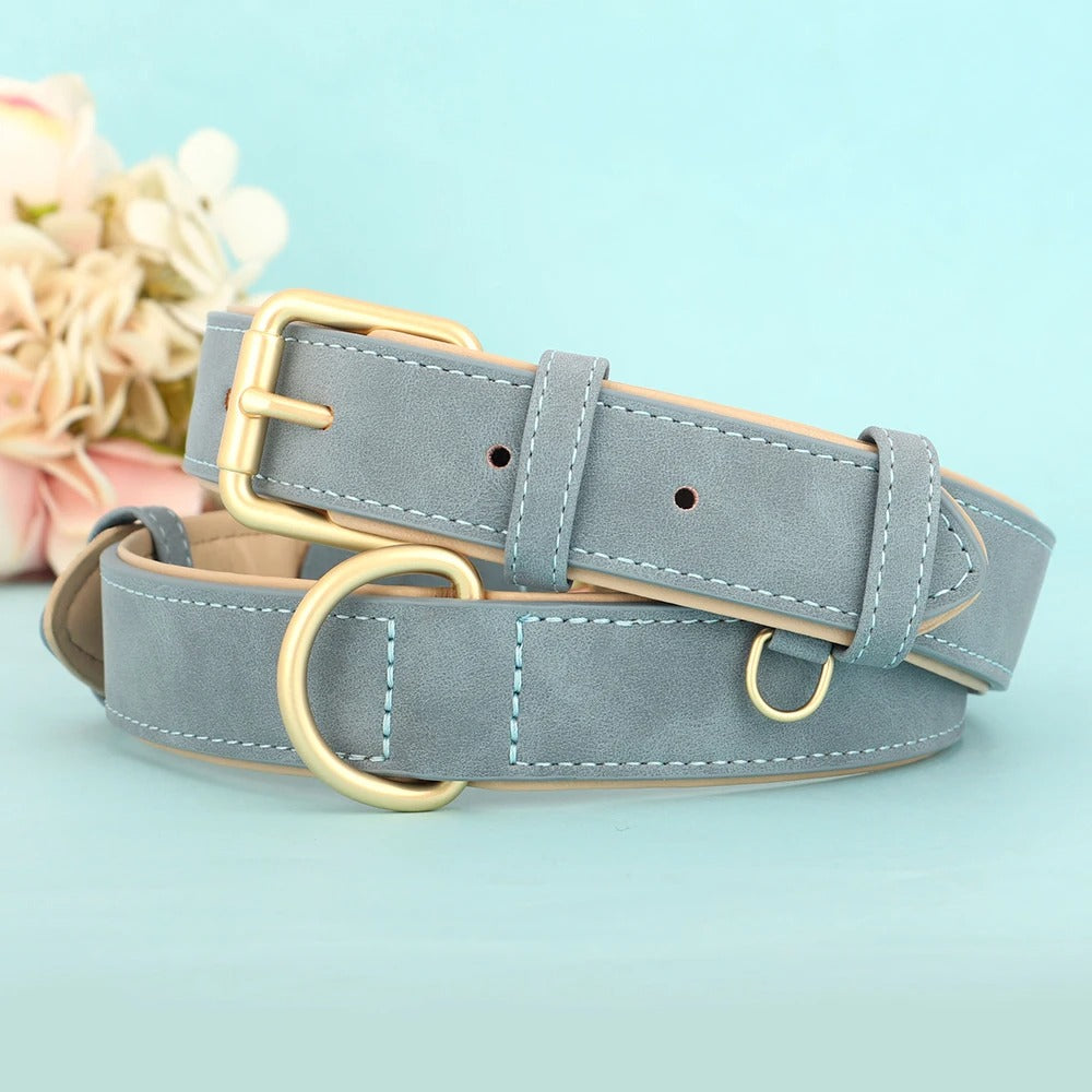 Soft Leather Padded Dog Collar Adjustable and Durable for Small and Medium Dogs