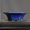 Color: Dark Blue