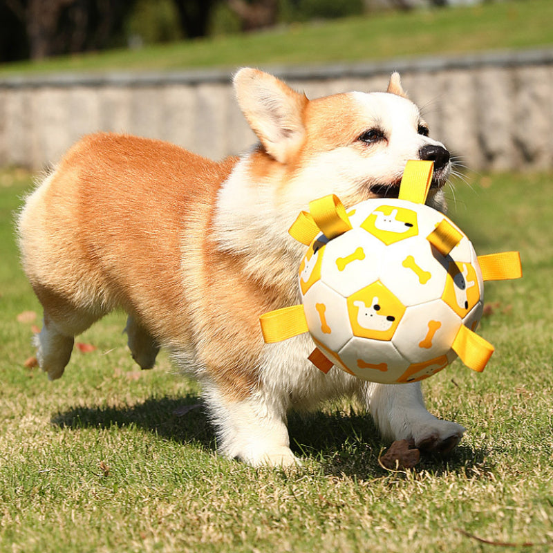 Interactive Dog Football Toy with Grab Tabs