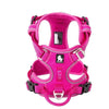color: Fuchsia