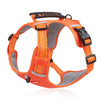 color: Orange