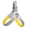 color: Yellow
