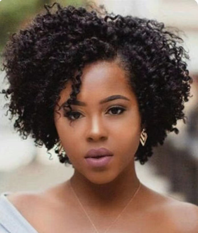 Women's Short Curly Hair Is Divided Into Synthetic Wigs