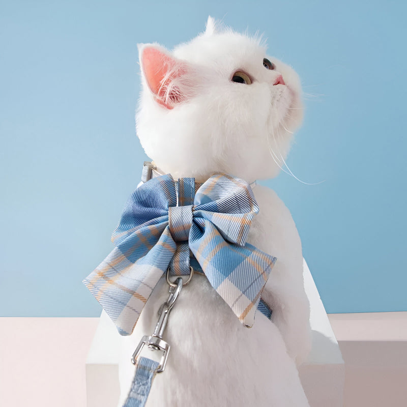 Cute Pet Harness with Bowknot and Traction Rope