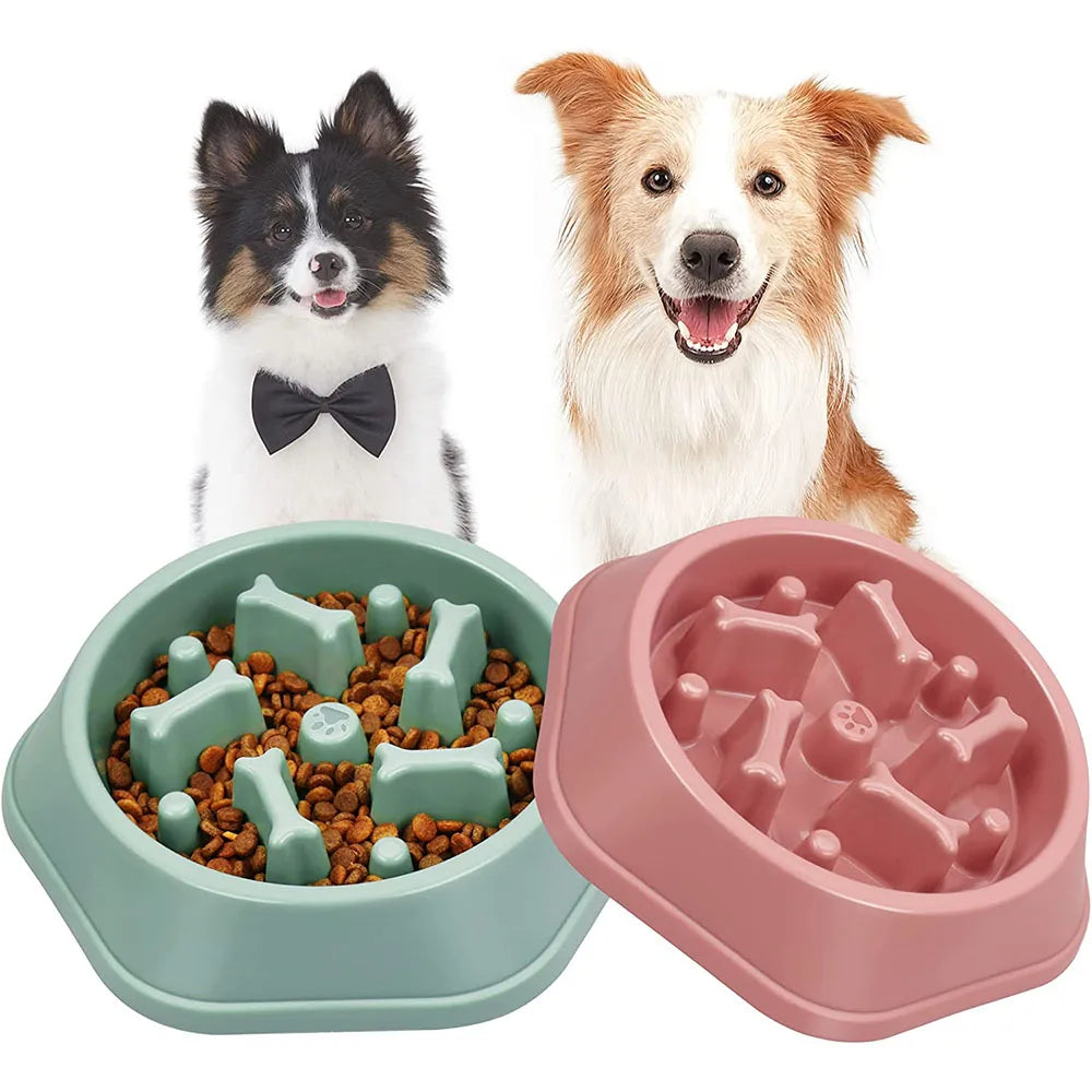 Slow Feeder Dog Bowl