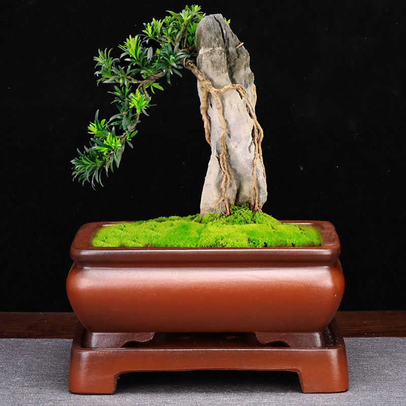 Rectangular Ceramic Bonsai Planter