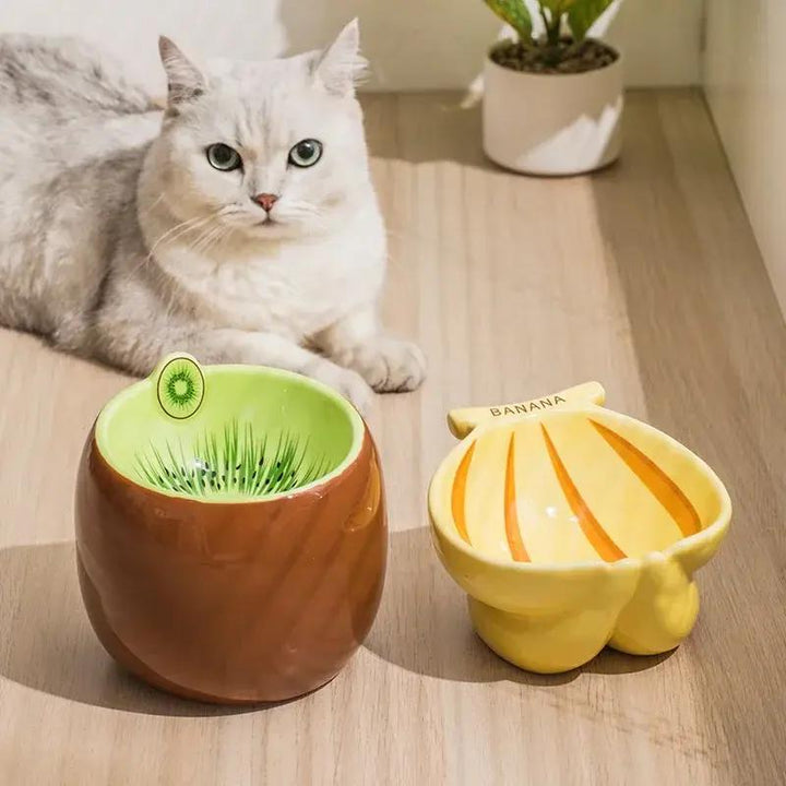 Elevated Ceramic Cat Bowl