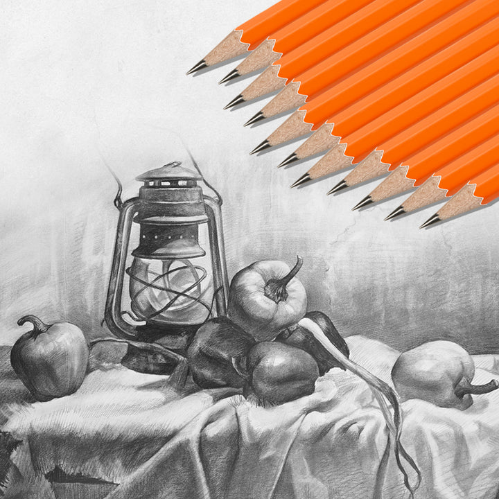 Professional Sketching and Drawing Pencil Set