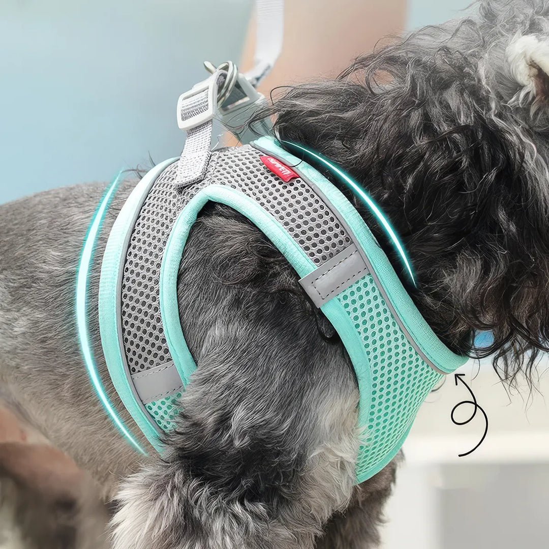 Reflective Breathable Adjustable Dog Harness Vest