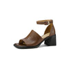 color: Brown