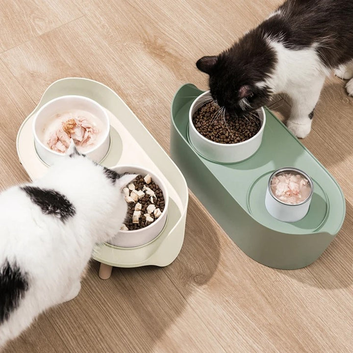 Elevated Double Ceramic Cat Bowls