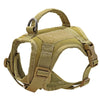 color: Khaki