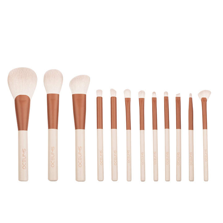 12-Piece Professional Makeup Brush Set