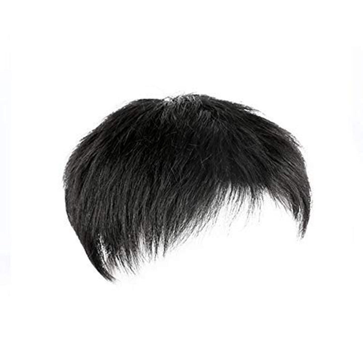 Middle-aged And Elderly Xie Ding Hairpiece Men's Natural Wig