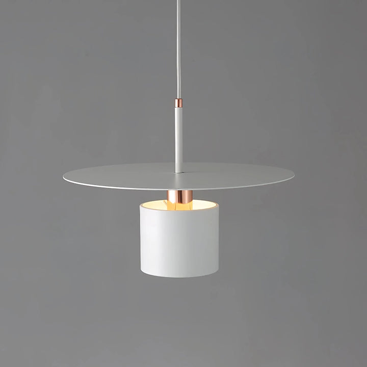 Modern Minimalist Pendant Light for Restaurants and Bedrooms